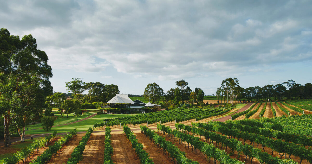 Heytesbury Chardonnay